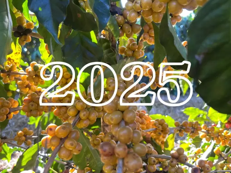 2.jpg Nuovo anno, nuovi progetti - 