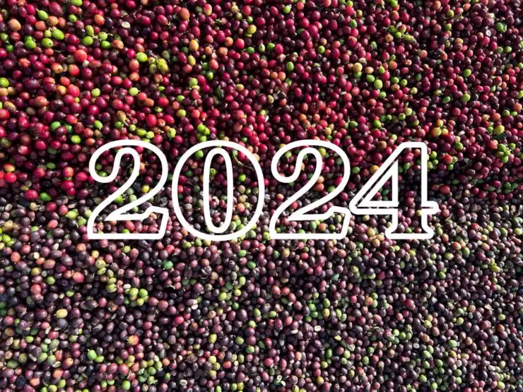 1.jpg Nuovo anno, nuovi progetti - 